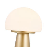 Настольная лампа Favourite Hongo 4450-1T цвет плафона/подвески Опал, цвет арматуры Золото-4