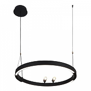 Подвесной светильник F-promo Slinga 4474-1P цвет плафона/подвески Черный, цвет арматуры Черный-1
