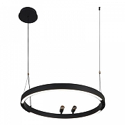 Подвесной светильник F-promo Slinga 4474-1P цвет плафона/подвески Черный, цвет арматуры Черный-6