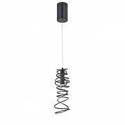 Подвесной светильник Favourite Fontes 4555-1P цвет плафона/подвески Черный, цвет арматуры Черный-1