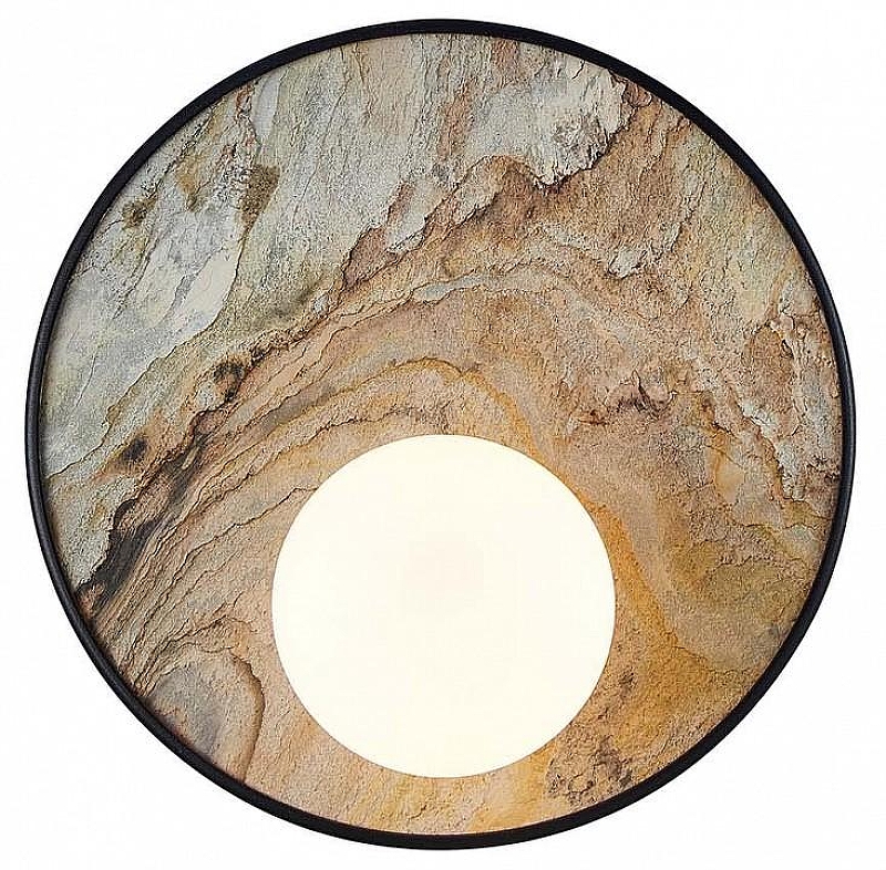 Накладной светильник Favourite Messier 4594-1W 