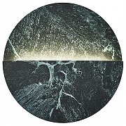 Накладной светильник Favourite Eclipsis 4600-1W цвет плафона/подвески Зеленый, цвет арматуры Черный