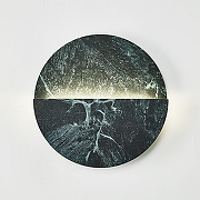 Накладной светильник Favourite Eclipsis 4600-1W цвет плафона/подвески Зеленый, цвет арматуры Черный-1