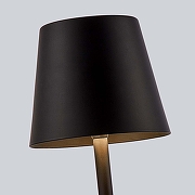 Настольная лампа F-promo Pyari 4615-1T цвет плафона/подвески Черный, цвет арматуры Черный-2