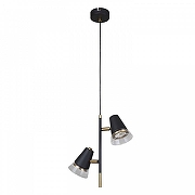 Подвесной светильник F-promo Trandy 4618-2P цвет плафона/подвески Прозрачный, Хром, цвет арматуры Черный-1