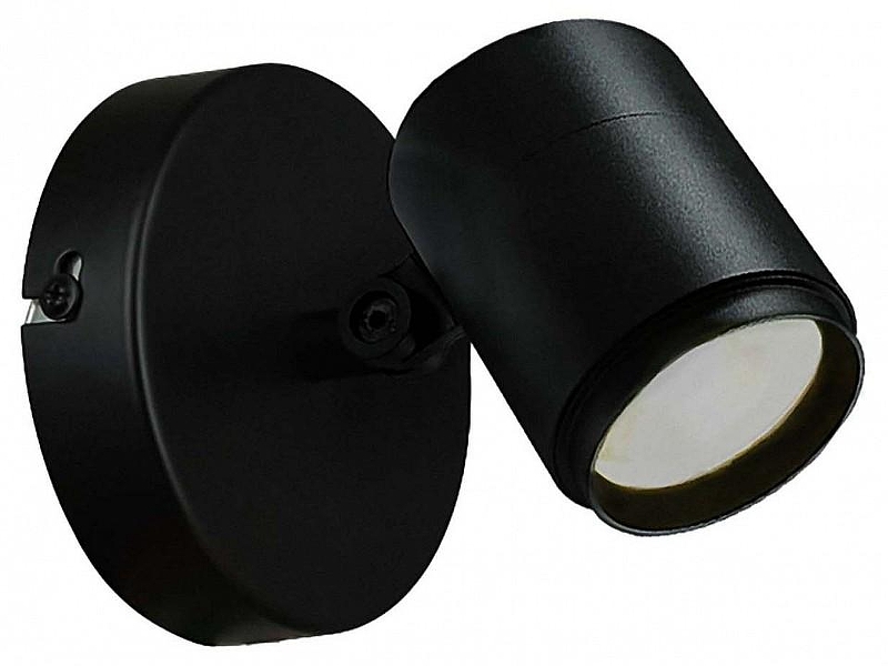 Светильник на штанге Favourite Securitas 4638-1W 