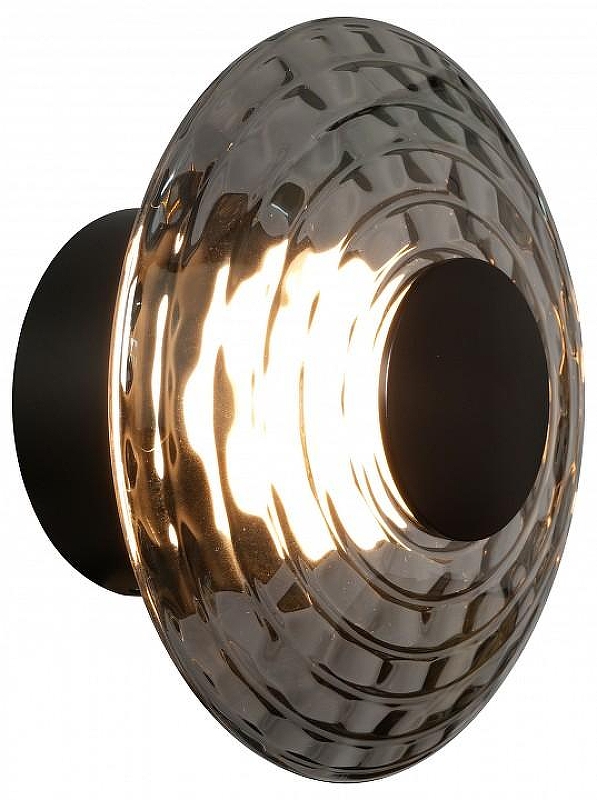 Накладной светильник Favourite Claros 4642-1W 