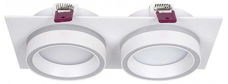 Встраиваемый светильник Favourite Vasto 4650-2C 