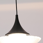 Подвесной светильник Favourite Wilet 4656-1P цвет плафона/подвески Прозрачный, цвет арматуры Черный-4