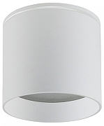 Накладной светильник Favourite Fantum 4662-1U цвет плафона/подвески Белый, цвет арматуры Белый