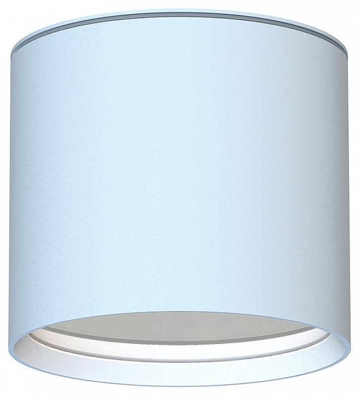 Накладной светильник Favourite Fantum 4664-1U 