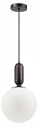Подвесной светильник Odeon Light Ok1a 4671/1 цвет плафона/подвески Белый, цвет арматуры Черный-1