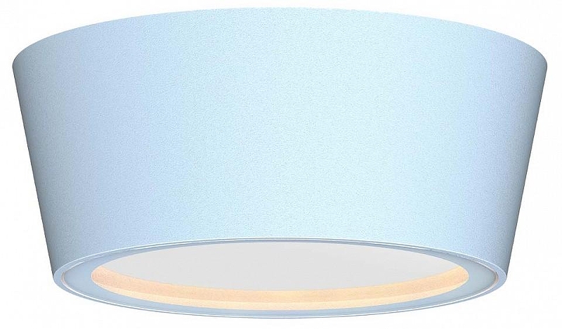 Накладной светильник Favourite Fantum 4676-1U 