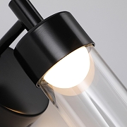 Бра Favourite Outdoor 4702-1W цвет плафона/подвески Прозрачный, цвет арматуры Черный-4