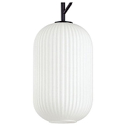 Подвесной светильник Odeon Light Roof1 4751/1 цвет черный