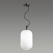 Подвесной светильник Odeon Light Roof1 4751/1 цвет черный-3