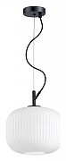 Подвесной светильник Odeon Light Roof1 4753/1 цвет черный-2