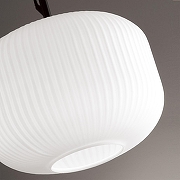 Подвесной светильник Odeon Light Roof1 4753/1 цвет черный-5