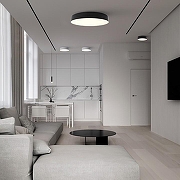 Накладной светильник Feron AL200 48077 цвет плафона/подвески Черный, цвет арматуры Черный-6