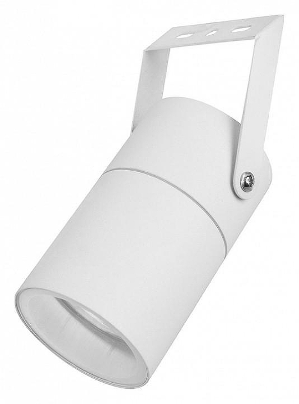 Светильник на штанге Feron Бостон 48319 