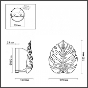 Бра Odeon Light Jungle 4865/1W цвет серебро-2