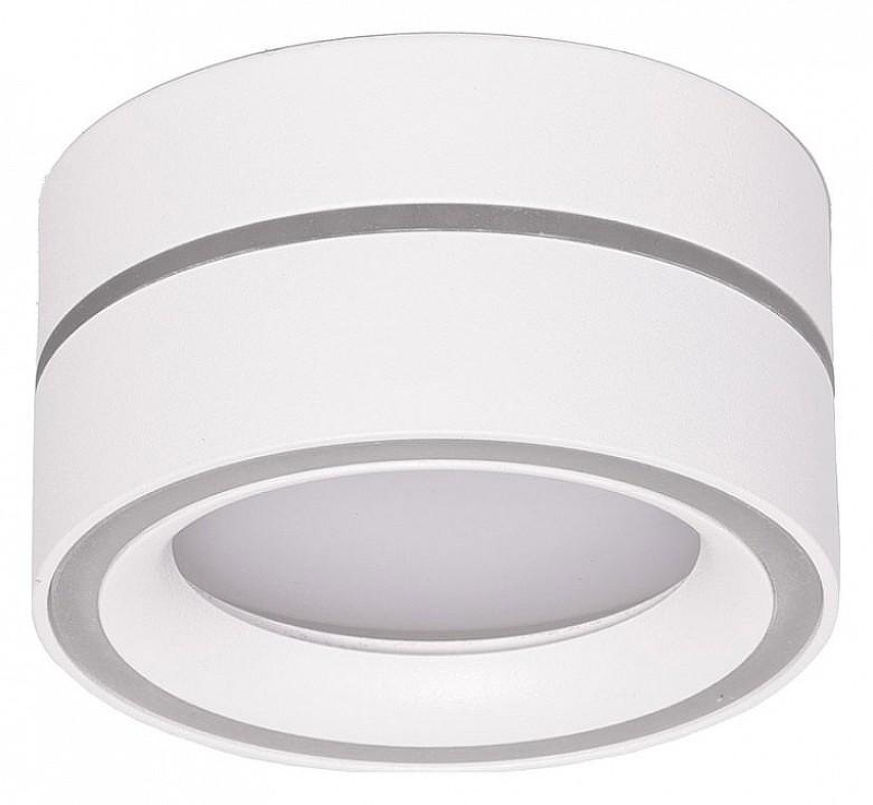 Накладной светильник Feron HL455 48752 