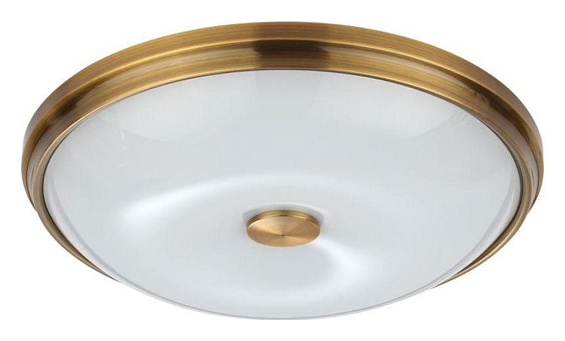 Накладной светильник Odeon Light Pelow 4956/4 