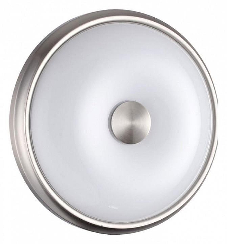 Накладной светильник Odeon Light Pelow 4957/2 