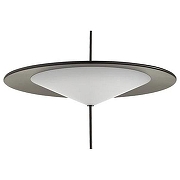 Подвесной светильник Odeon Light Steka 5012/16L цвет черный