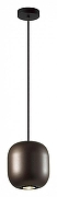 Подвесной светильник Odeon Light Cocoon 5060/1DA цвет черный-1