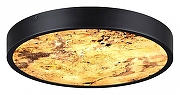 Накладной светильник Odeon Light Berg1 5064/24L цвет плафона/подвески Бежевый, цвет арматуры Черный-4