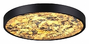 Накладной светильник Odeon Light Berg1 5064/40L цвет плафона/подвески Бежевый, цвет арматуры Черный-1