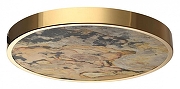 Накладной светильник Odeon Light Berg1 5079/40L цвет плафона/подвески Бежевый, цвет арматуры Золото-3