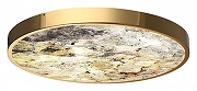 Накладной светильник Odeon Light Berg1 5079/50L цвет плафона/подвески Бежевый, цвет арматуры Золото-4