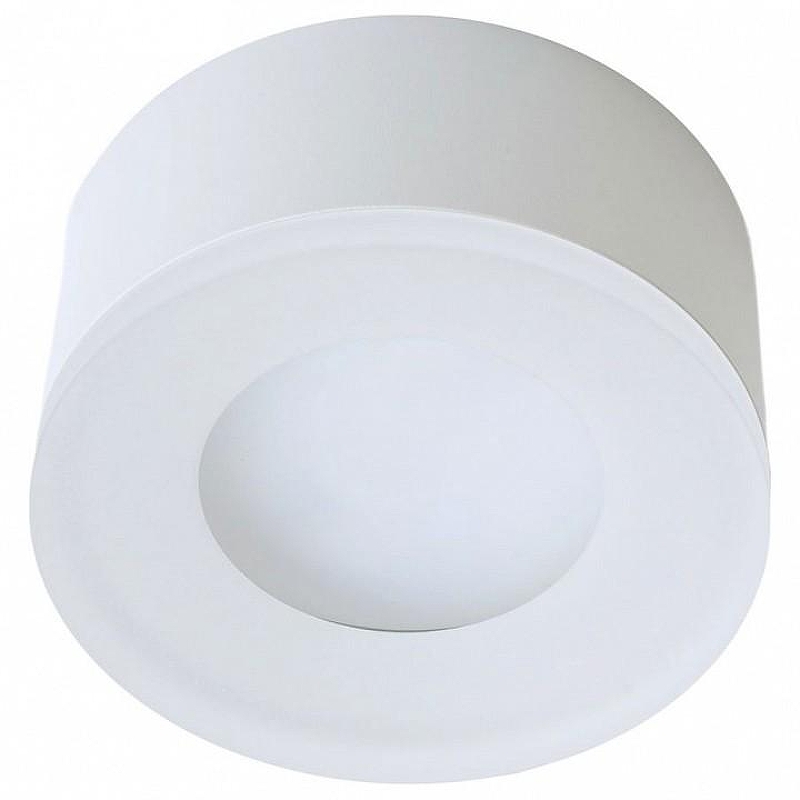 Накладной светильник Feron HL456 51346 