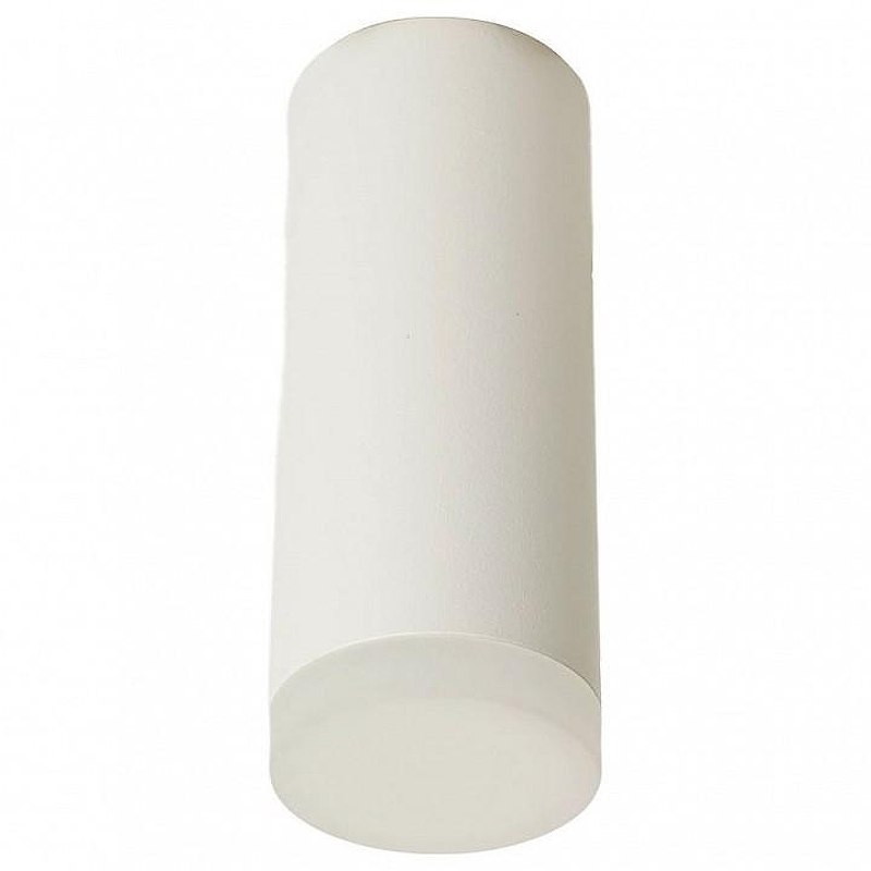 Накладной светильник Feron ML102 51389 