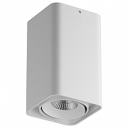 Спот Lightstar Monocco 52336 цвет Белый-1