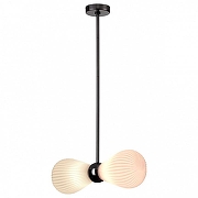 Подвесной светильник Odeon Light Elica 2 5418/2 цвет черный-1