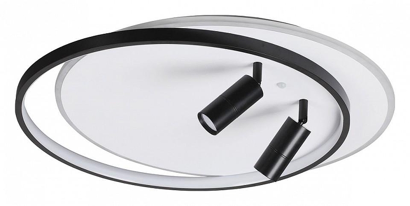 Накладной светильник Lumion Naoko 5603/75CL 