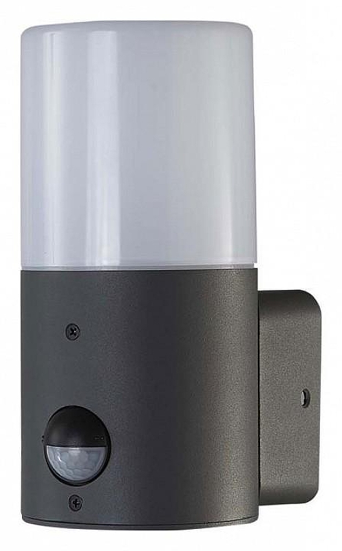 Светильник на штанге Escada Pa1r 581/1A 