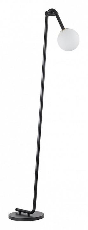 Торшер Lumion Dexter 6500/1F 