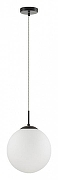 Подвесной светильник Lumion Suspentioni 6510/1 цвет плафона/подвески Белый, цвет арматуры Черный-1