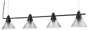 Подвесной светильник Lumion Corne 6595/4A цвет плафона/подвески Прозрачный, цвет арматуры Черный