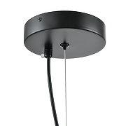 Подвесной светильник Lumion Corne 6595/4A цвет плафона/подвески Прозрачный, цвет арматуры Черный-7