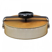 Накладной светильник Lumion Drumy 6597/40L цвет плафона/подвески Латунь, цвет арматуры Черный-2