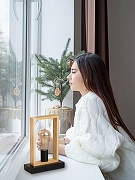 Настольная лампа De City Акцент 7 680033901 цвет плафона/подвески , цвет арматуры Коричневый, Черный-4