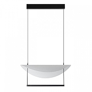 Подвесной светильник Odeon Light Next 7015/20L цвет черный-2