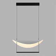 Подвесной светильник Odeon Light Next 7015/20L цвет черный-3