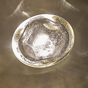 Накладной светильник Odeon Light Mela 7044/4WL цвет плафона/подвески Серый, цвет арматуры Золото-1