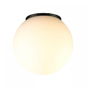 Накладной светильник Odeon Light NATURE 7124/1C цвет черный-1